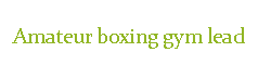 アマチュアボクシングジムリード浜松ロゴ